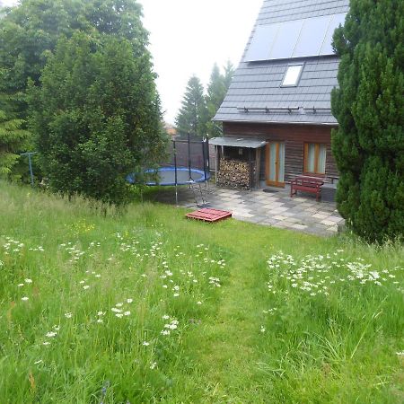 Haus Bergwiese - Fuer Naturfreunde, Familien, Wanderer Gehlberg Exterior photo
